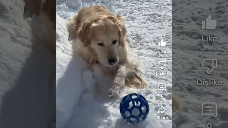 Lola and the Blue Orb