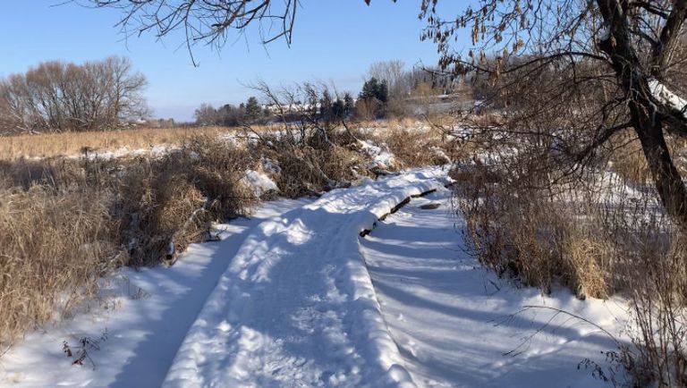 Winter Morning walk in the crunchy snow