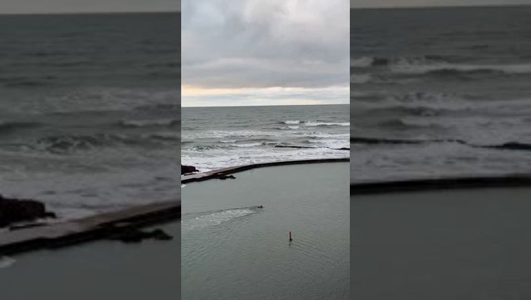 Cold water swimming in Bude