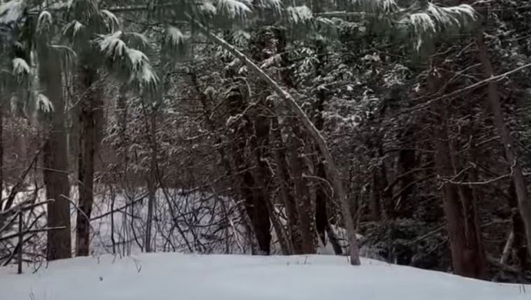 My morning walk with Lola in the deep snow