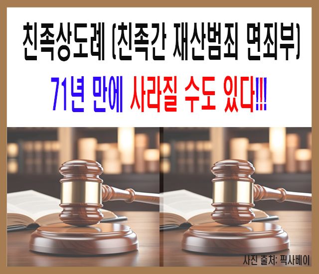 친족상도례(친족간 재산범죄 면죄부)는 71년 만에 사라질수도 있다.jpg