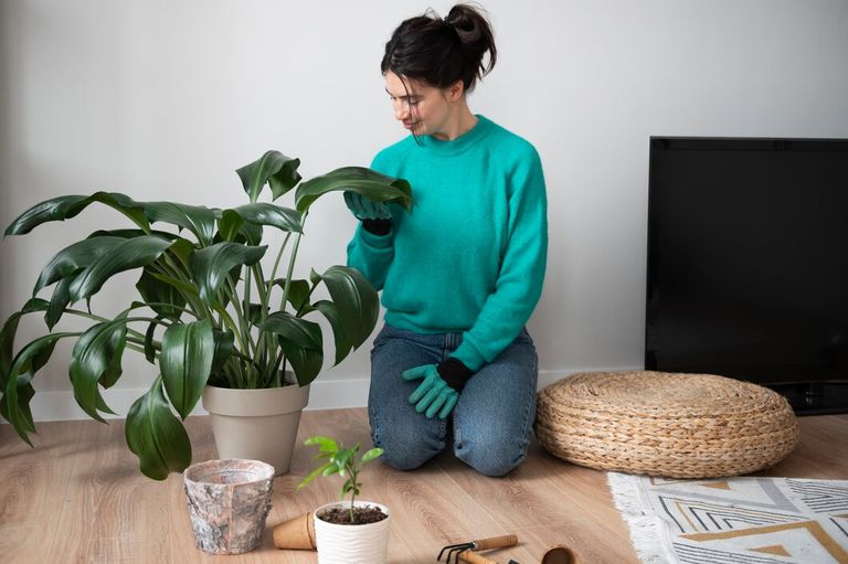 woman-changing-pots-her-plants-home-quarantine_23-2149374558.jpg