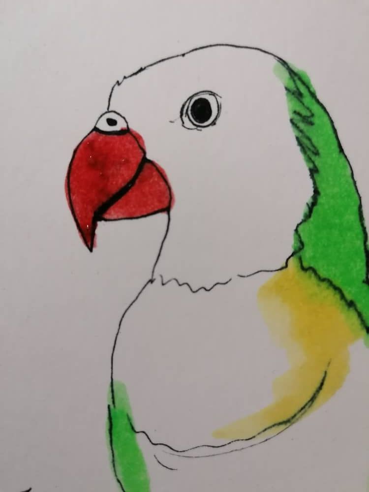 PAINTINGPARROTPARROT (2).jpeg