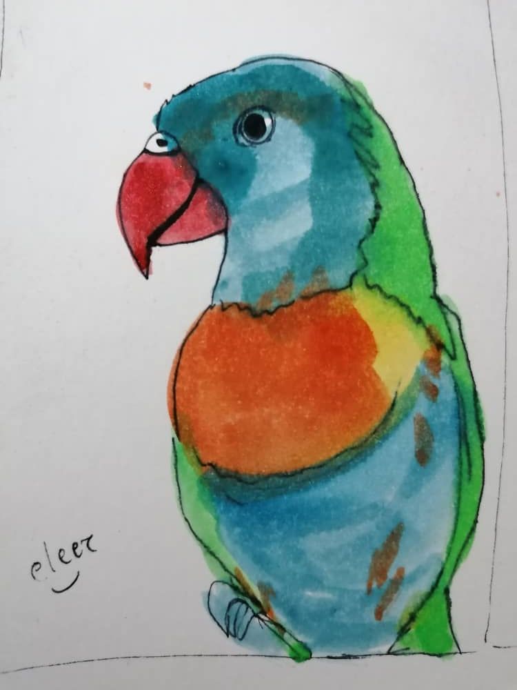 PAINTINGPARROTPARROT (1).jpeg