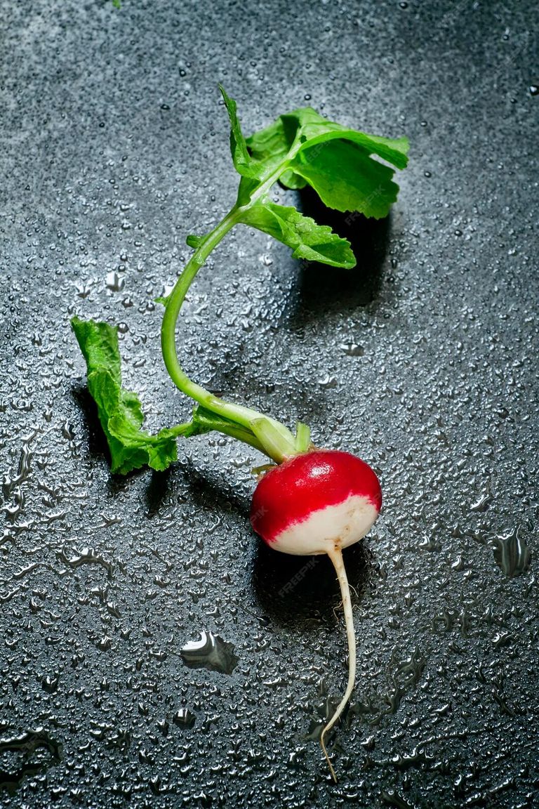 fresh-radishes-with-water-drops-selective-focus_630207-4590.jpg