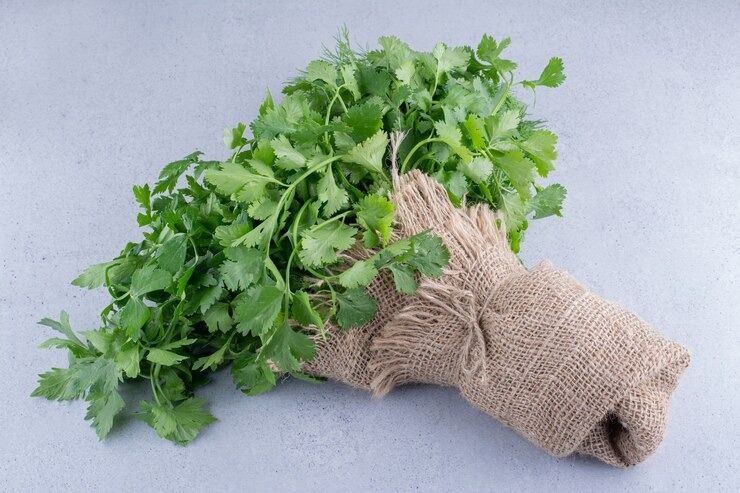 fresh-bundle-parsley-wrapped-pie.jpg