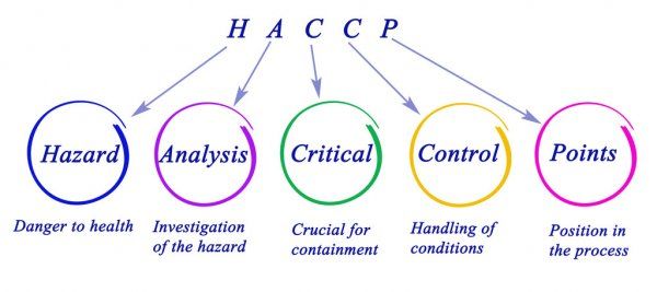 depositphotos_95206892-stock-photo-diagram-of-haccp-regulatory-requirements.jpg