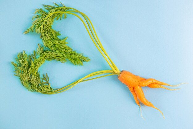 irregular-carrots-with-heart-shaped-leaves_97899-1086.jpg