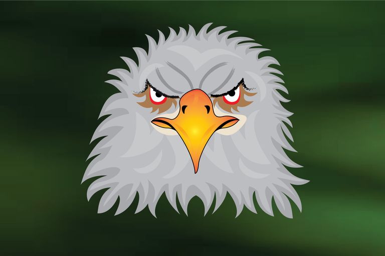 Fierce-Eagle-Face.jpg