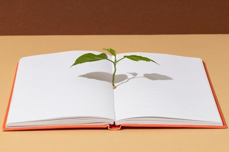 top-view-plant-growing-book_23-2.jpg