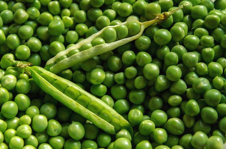 Peas.jpg