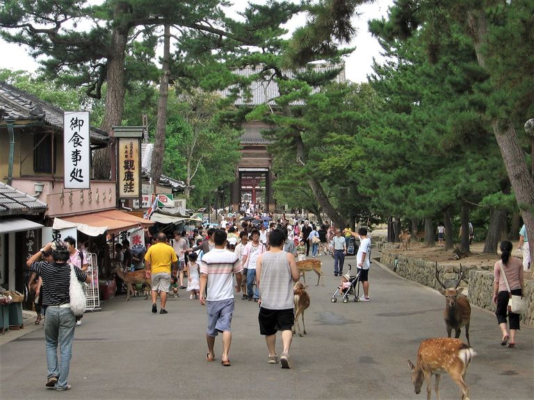 107 nara todai-ji.jpg