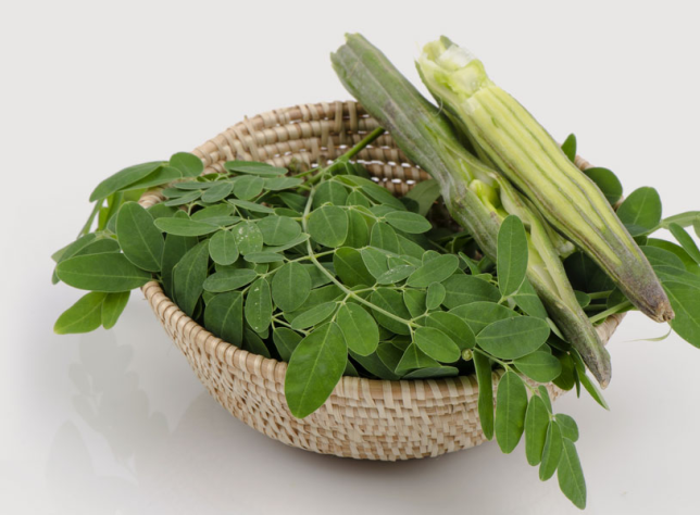 moringa.png