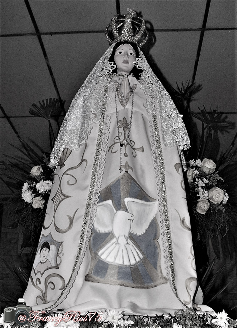 Virgen 6.png