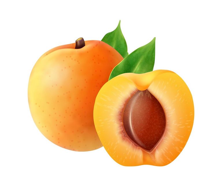 realistic-fruits-composition-with-images-whole-sliced-apricot-fruit-blank-background-vector-illustration_1284-66028.jpg