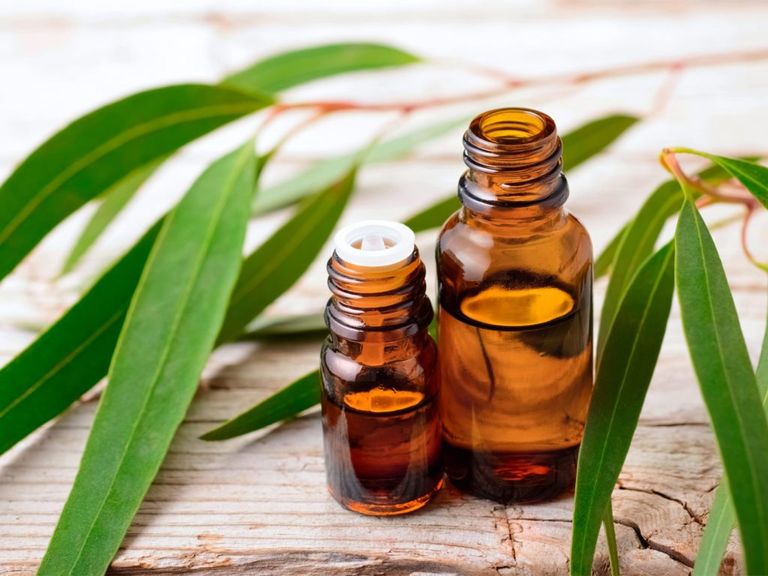 Eucalyptus-Oil_-Guide-To-Essential-Oils_-Andrew-Weil-M.D_911691436-1024x768_1024x1024.jpg