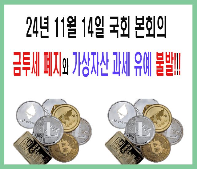 24년 11월 14일 국회 본회의, 금투세 폐지와 가상자산 과세 유예 불발!!.jpg