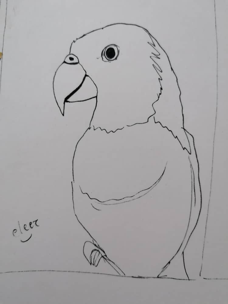 PAINTINGPARROTPARROT (4).jpeg