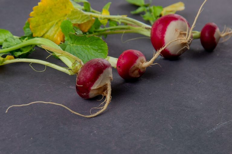 close-up-view-red-radishes-maroon-background-with-copy-space_141793-5409.jpg