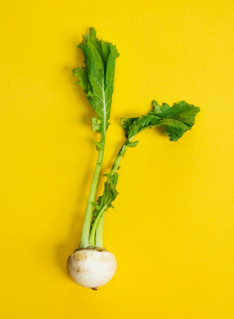 aerial-view-fresh-radish-yellow-background_53876-16186.jpg