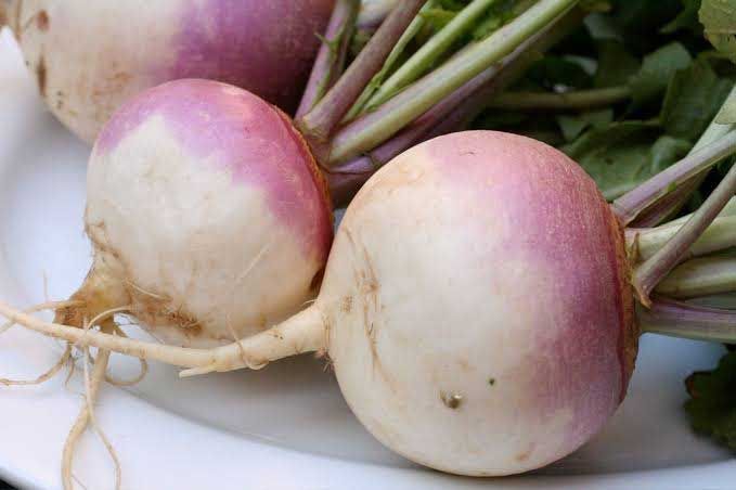 turnip.jpg