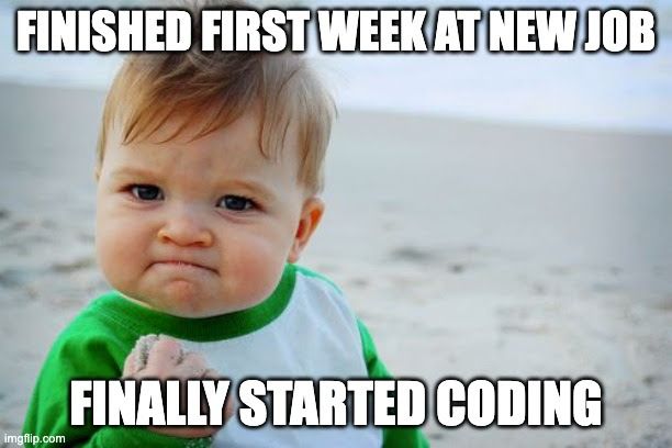 finished-first-week-at-new-job-finally-started-coding