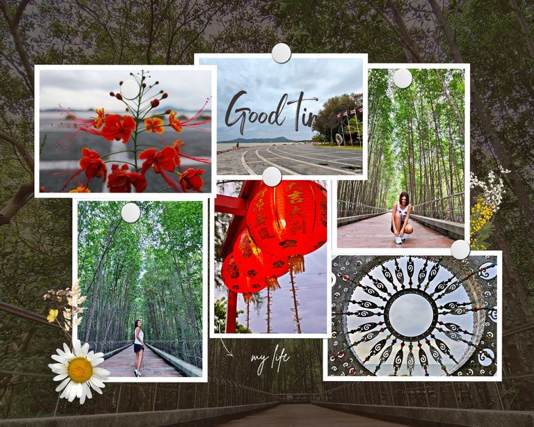 _Brown Floral Vision Board Photo Collage.png