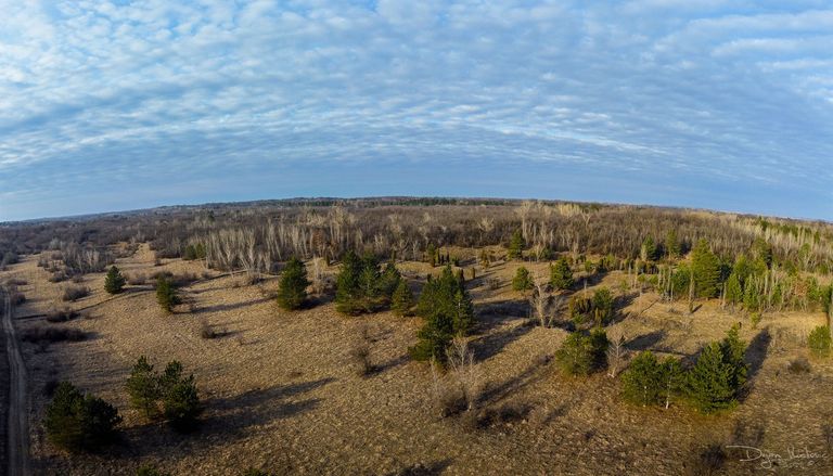 DJI_0001-Pano-2.jpg