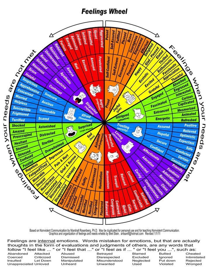 nvc-wheel.jpeg