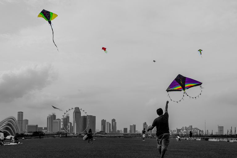 kites at marina1.jpg