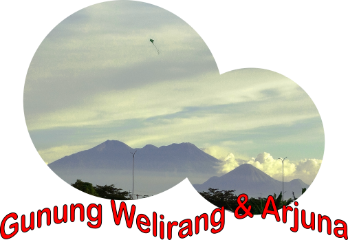 Gunung Welirang dan Arjuno5.png