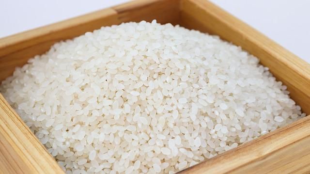 rice-3997767_640.jpg