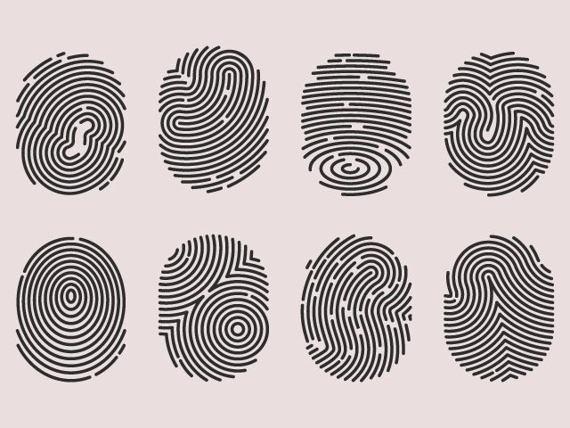 3670_Apr21_Why-Do-We-Have-Unique-Fingerprints-Blog-Image-1.jpg