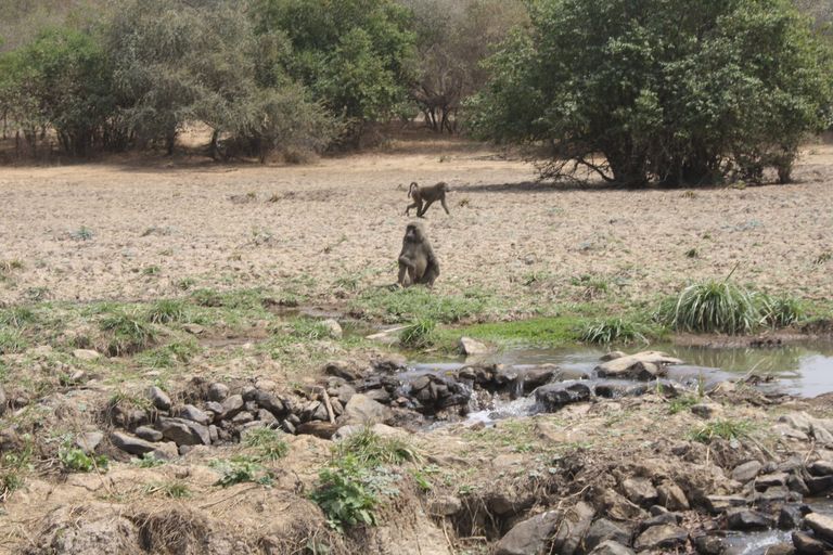 Ghana 2011 1793.JPG