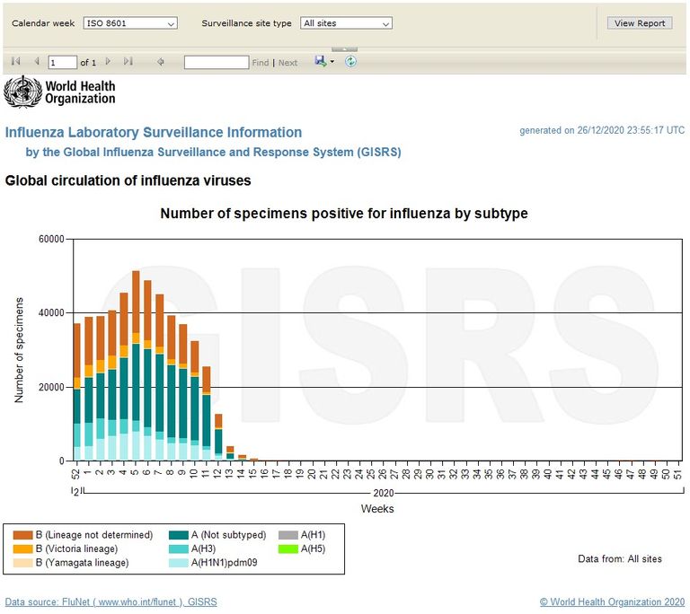 Global Flu20201227_005535.jpg