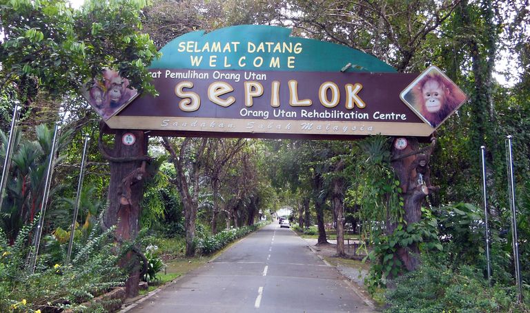 sepilok.jpg