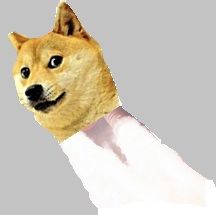 Doge_Rocket.jpg