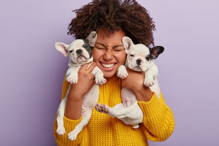 close-up-shot-pleased-woman-with-afro-hair-holds-two-puppies-spends-leisure-time-with-loyal-animal-friends-happy-have-newborn-french-bulldog-dogs.jpg