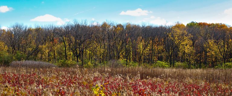 PrairiePano.jpg