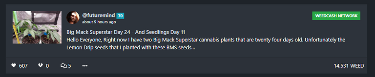 @futuremind Big Mack Superstar Day 24 - And Seedlings Day 11