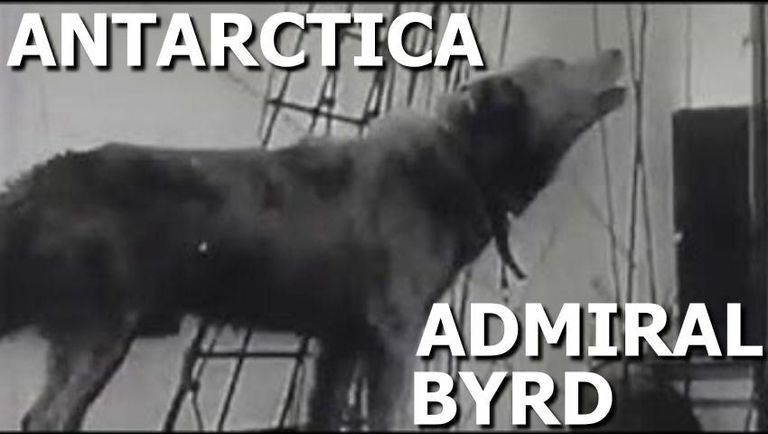 Early Admiral Byrd Antarctica footage   Research Flat Earth ✅