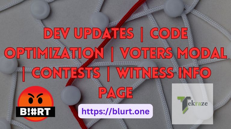 Dev-Updates-Code-optimization-Voters-Modal-Contests-Witness-Info-Page.jpg