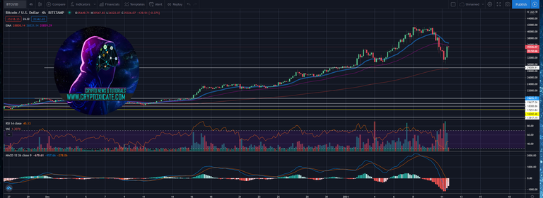 002_big_hodl_works_until_it_doesnt_bitcoin_20_down_in_1_day_cryptoxicate_com.png