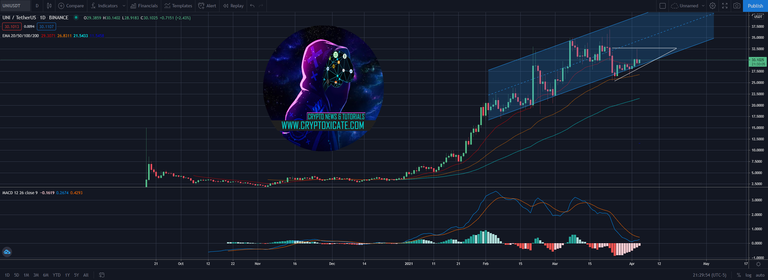 003_big_altcoins_look_so_bullish_euphoria_is_next_cryptoxicate_com.png