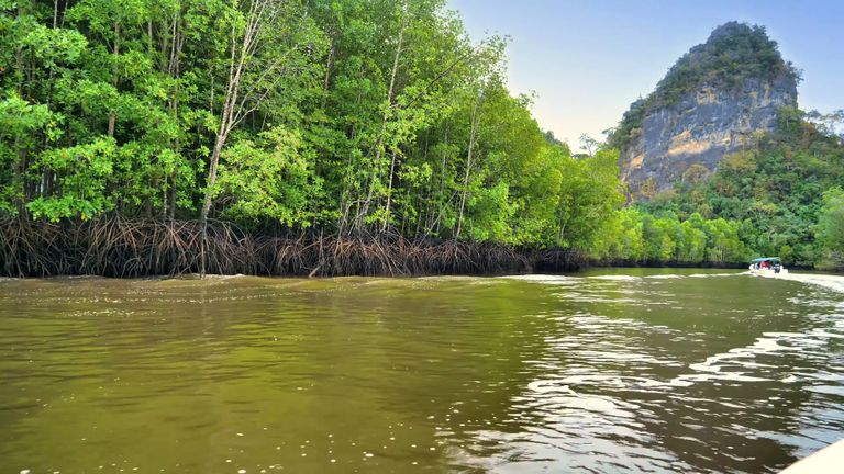 kilim_geoforest_park07.jpg