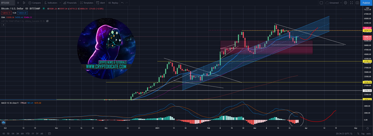 001_big_bulls_strike_back_bitcoi_price_hold_the_line_cryptoxicate_com.png