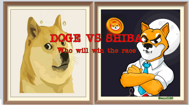 doge_vs_shiba.png