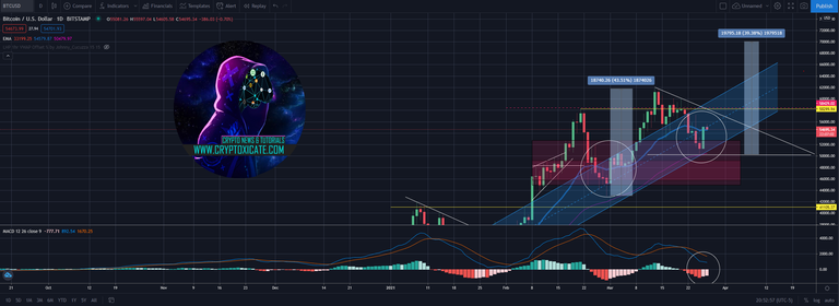 002_big_bulls_strike_back_bitcoi_price_hold_the_line_cryptoxicate_com.png