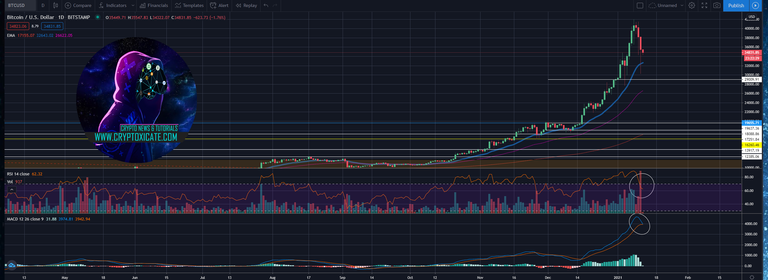 000_big_hodl_works_until_it_doesnt_bitcoin_20_down_in_1_day_cryptoxicate_com.png