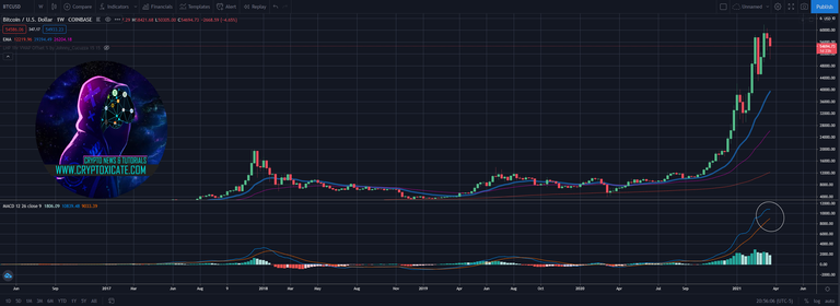 004_big_bulls_strike_back_bitcoi_price_hold_the_line_cryptoxicate_com.png